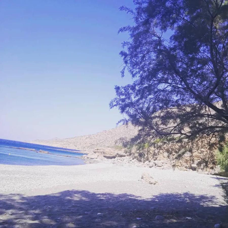 Studios Anna Maria With Sea View Kapetanianá المظهر الخارجي الصورة